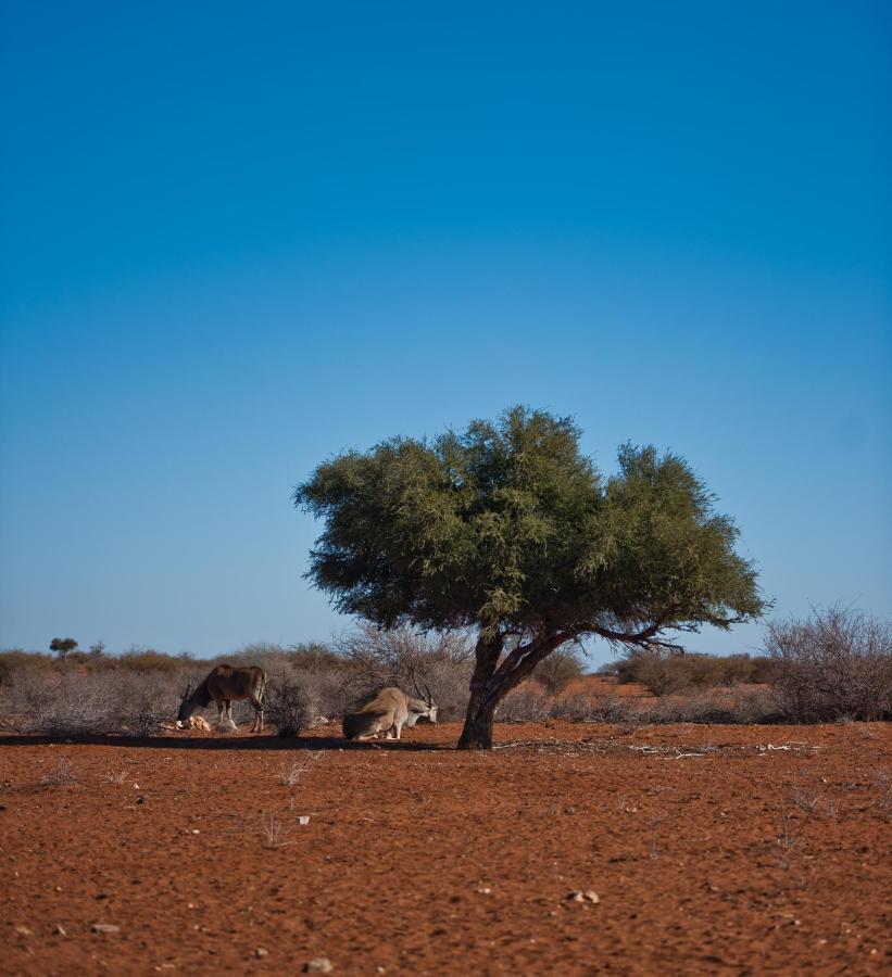 Kalahari Anib Campsite Hardap Exterior photo